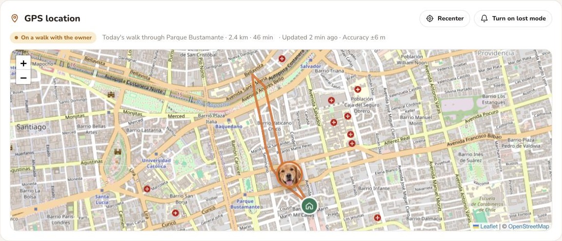 PetViome GPS map: Luna on a walk near home in Santiago