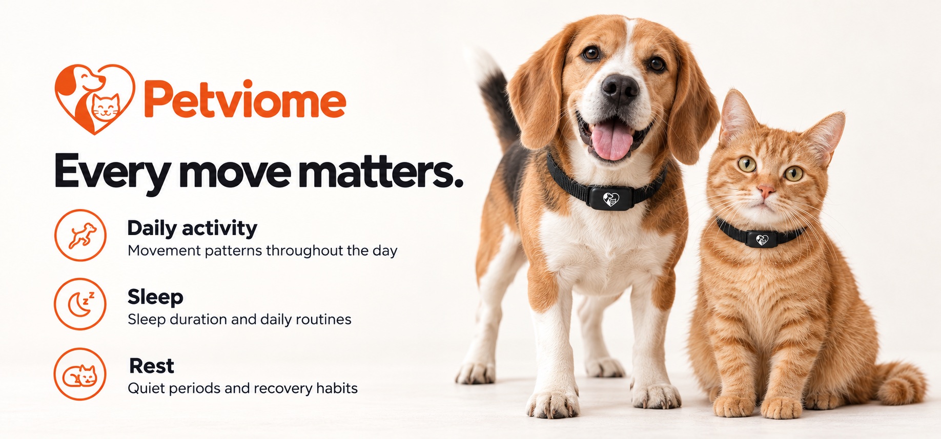 PetViome collar on a beagle and a cat: every move matters. Daily activity, sleep and rest